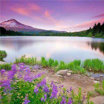 威尼斯官方网址下载