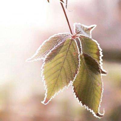 必博手机网页版下载手机版